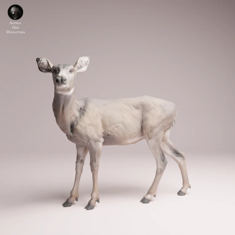 Mule Doe - 4.png