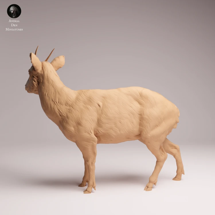 Pudu Deer - 1.png