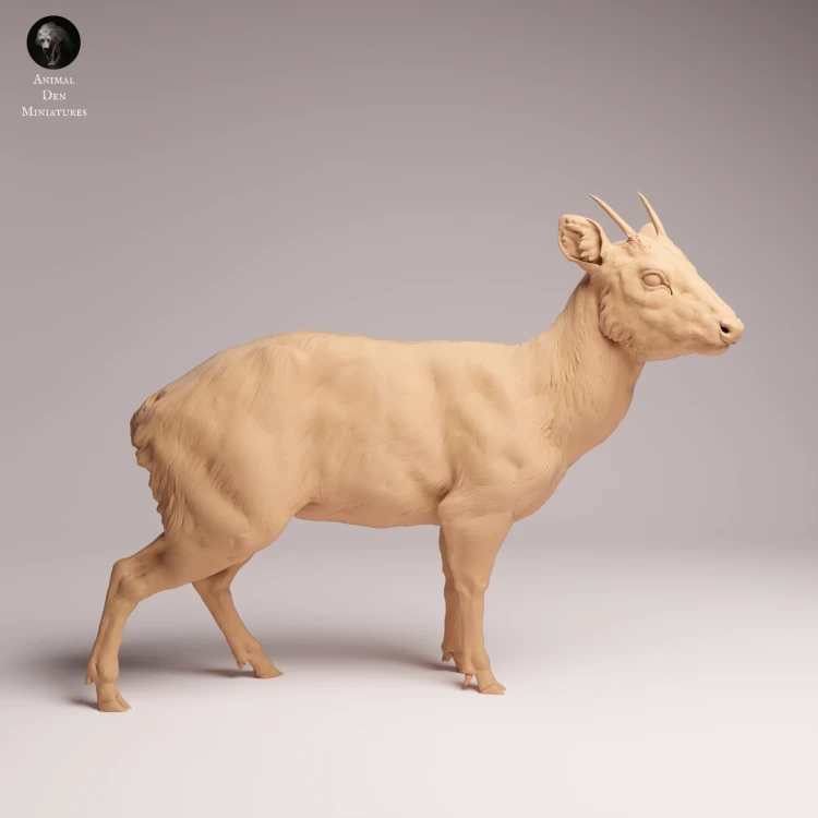 Pudu Deer - 2.png