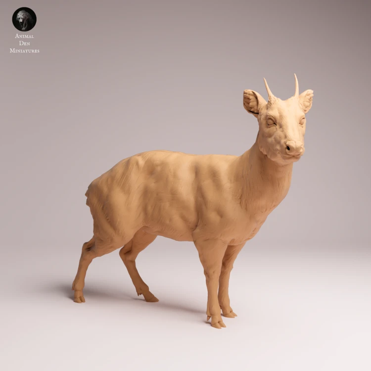 Pudu Deer - 3.png
