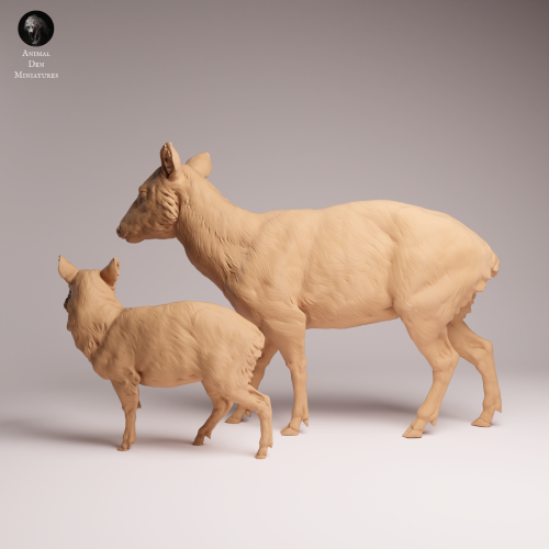 Pudu Doe and Fawn - 1.png