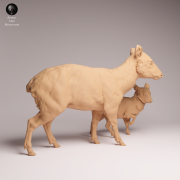 Pudu Doe and Fawn - 2.png