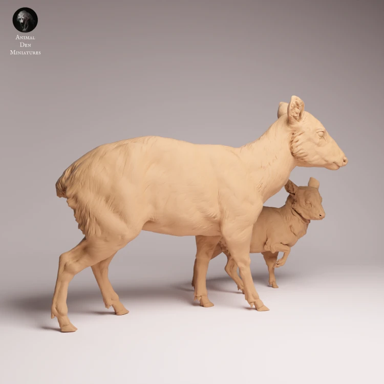 Pudu Doe and Fawn - 2.png