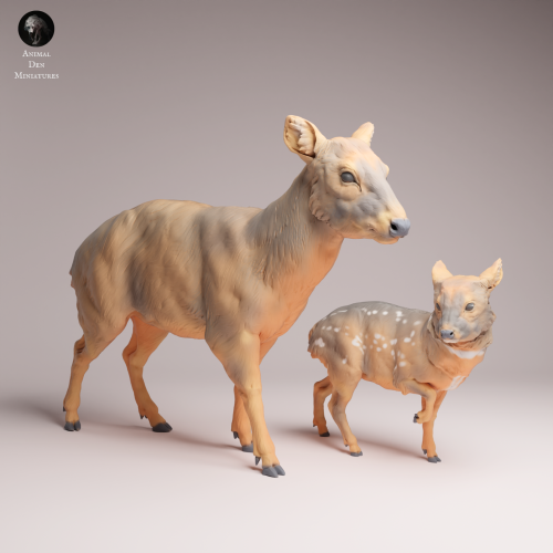 Pudu Doe and Fawn - 4.png