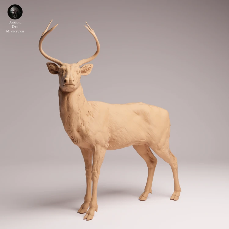 White Tailed Deer - 3.png