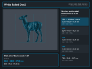 White Tailed Deer Does - 6.png