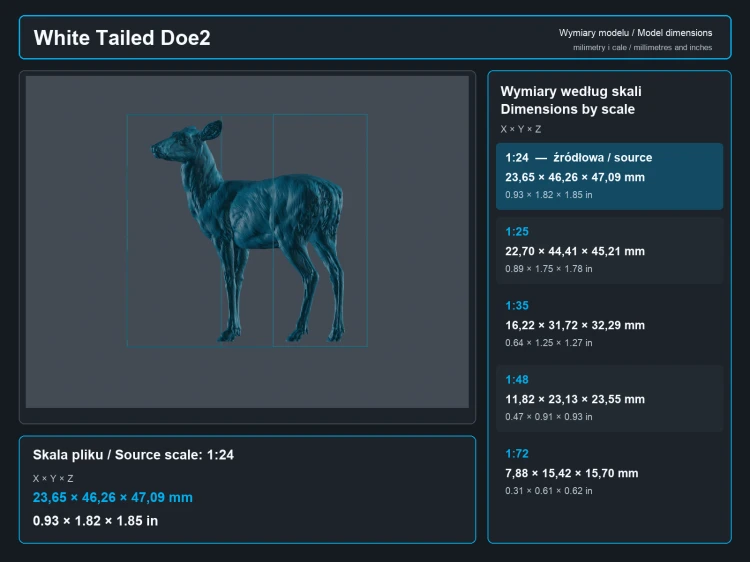 White Tailed Deer Does - 6.png