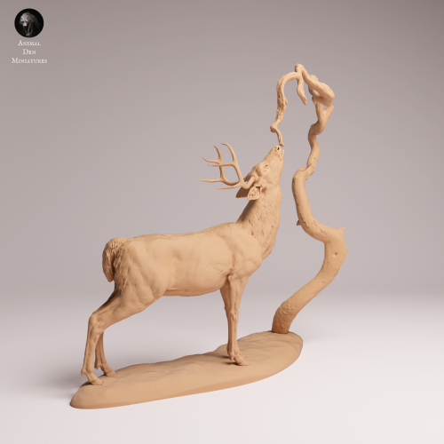 White Tailed Deer Feed - 1.png