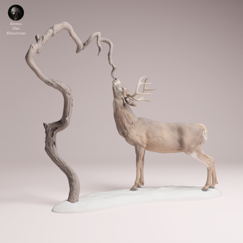 White Tailed Deer Feed - 4.png