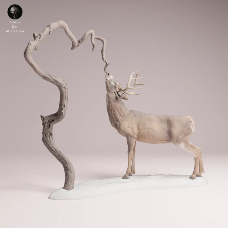 White Tailed Deer Feed - 4.png