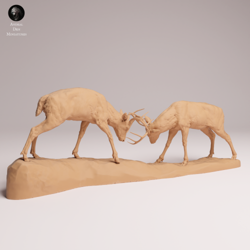 White Tailed Deer Fight - 1.png