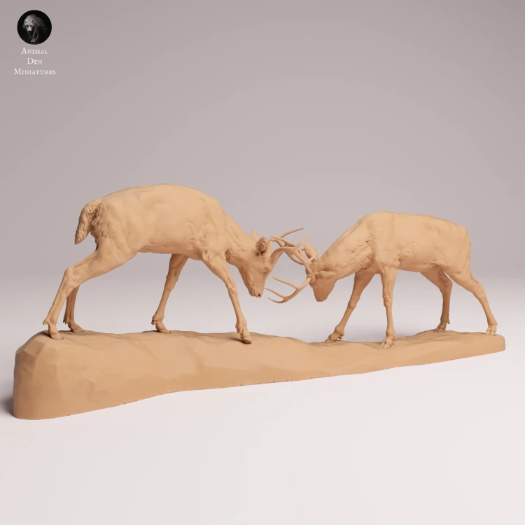 White Tailed Deer Fight - 1.png