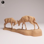 White Tailed Deer Fight - 2.png