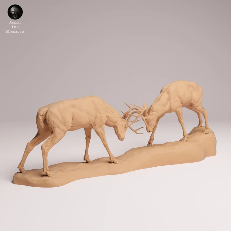 White Tailed Deer Fight - 3.png