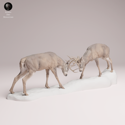 White Tailed Deer Fight - 4.png