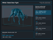 White Tailed Deer Fight - 6.png