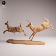 White Tailed Deer Run - 1.png