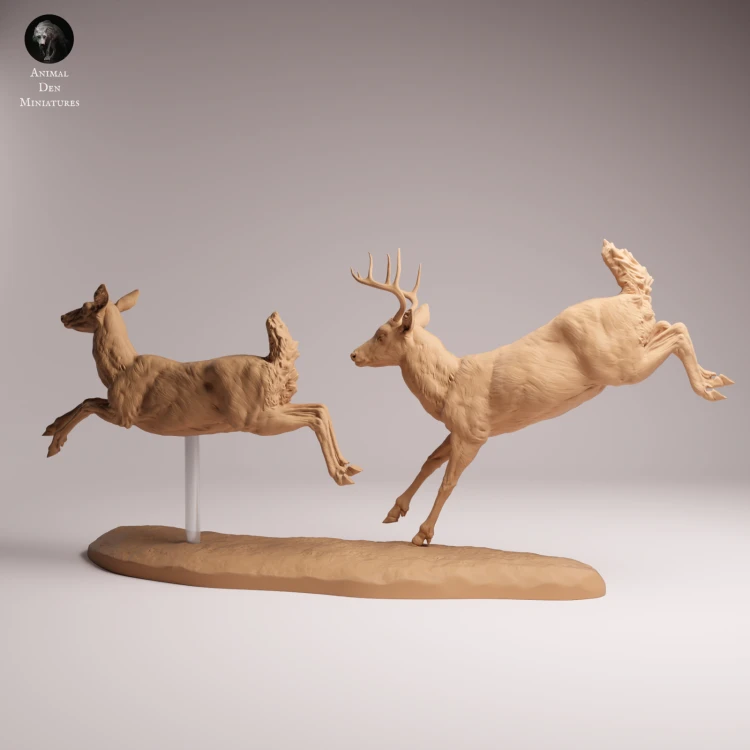 White Tailed Deer Run - 1.png