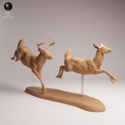 White Tailed Deer Run - 2.png