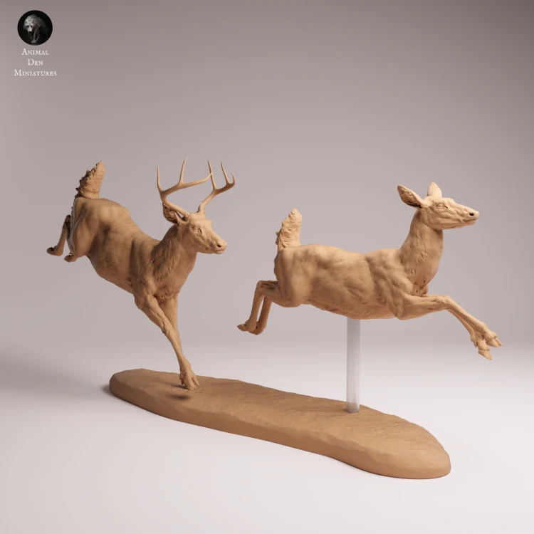 White Tailed Deer Run - 2.png
