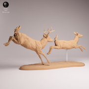 White Tailed Deer Run - 3.png