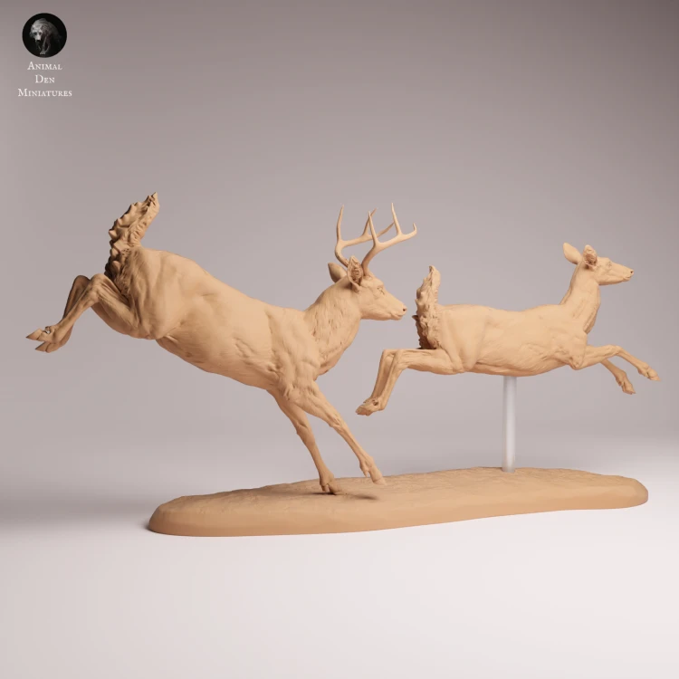 White Tailed Deer Run - 3.png