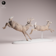 White Tailed Deer Run - 4.png
