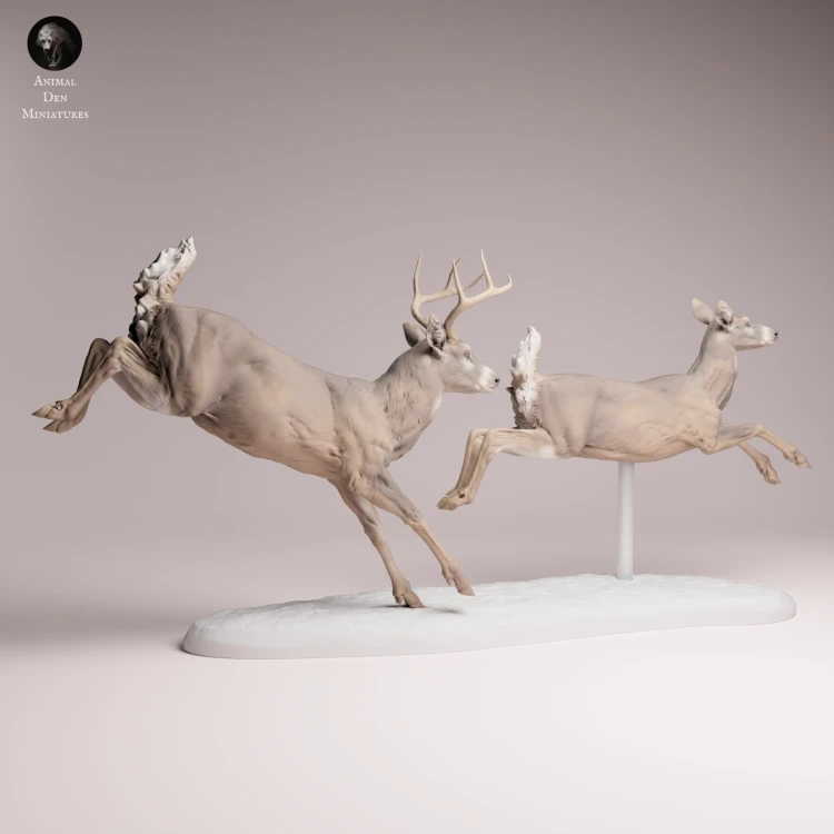 White Tailed Deer Run - 4.png
