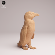 African Penguin - 2.png