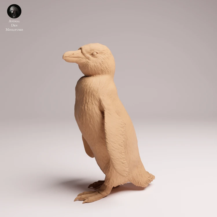 African Penguin - 3.png