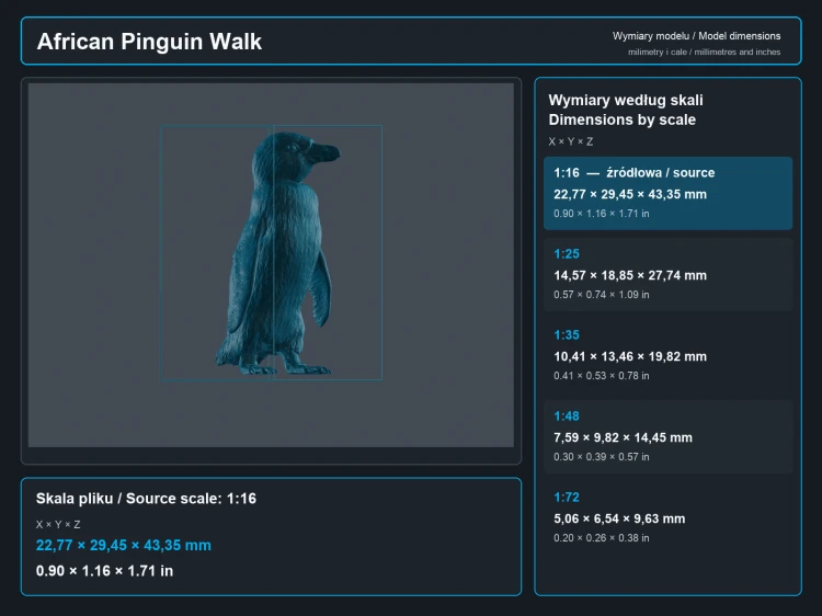 African Penguin - 5.png