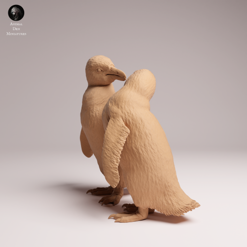 African Penguins Couple - 1.png