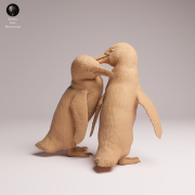 African Penguins Couple - 2.png