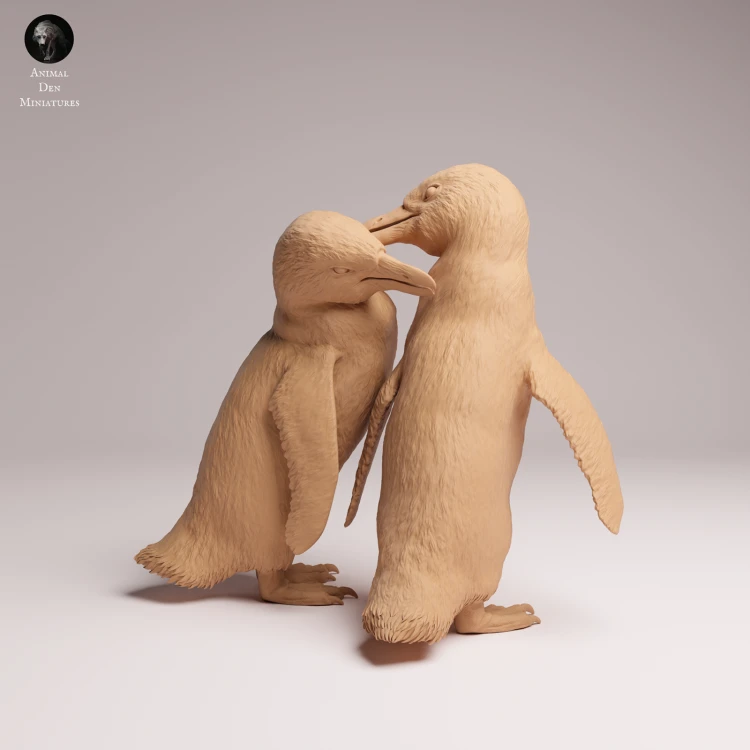African Penguins Couple - 2.png