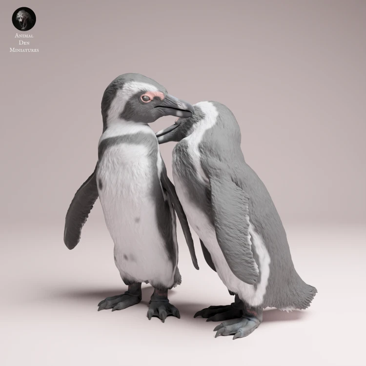 African Penguins Couple - 4.png