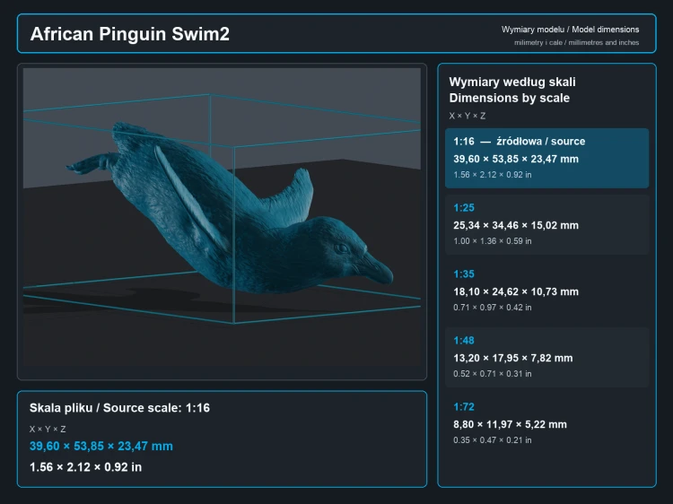 African Penguins Swim - 6.png