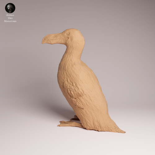 Great Auk - 1.png