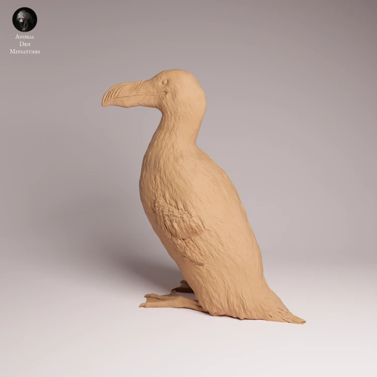 Great Auk - 1.png