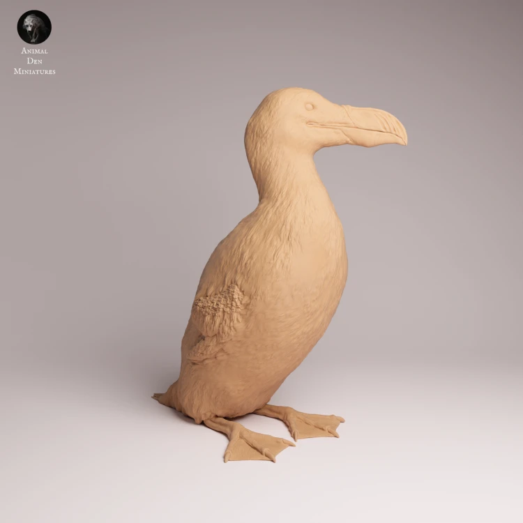 Great Auk - 2.png