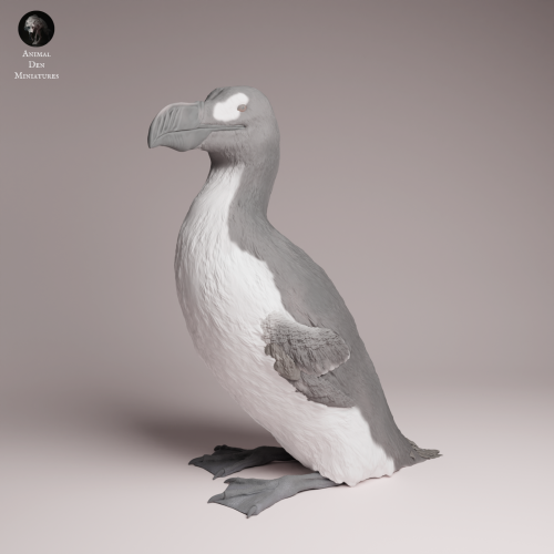 Great Auk - 4.png