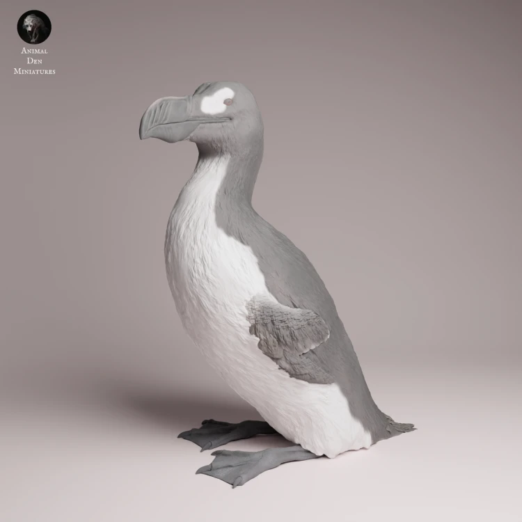 Great Auk - 4.png