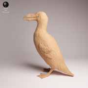 Great Auk Stand - 2.png
