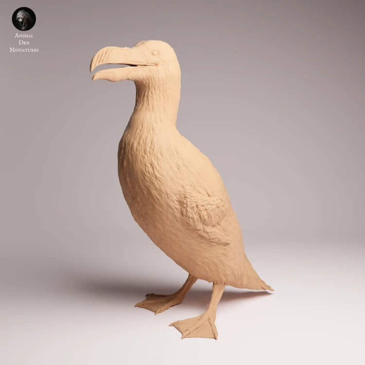 Great Auk Stand - 3.png
