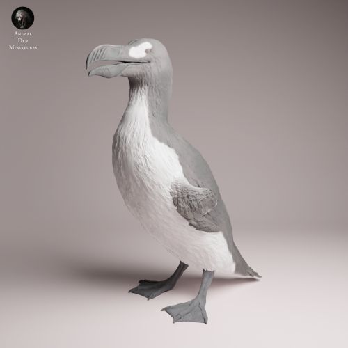 Great Auk Stand - 4.png