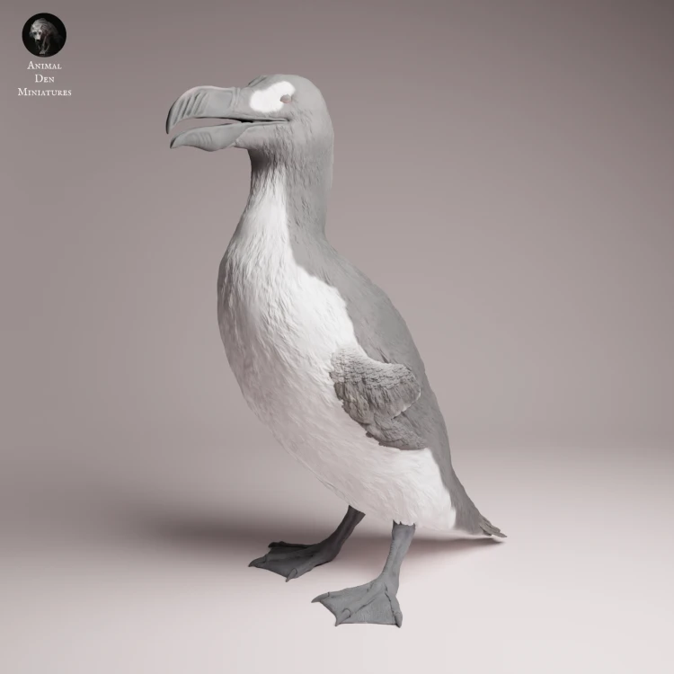 Great Auk Stand - 4.png
