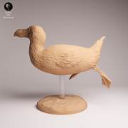Great Auk Swim - 1.png