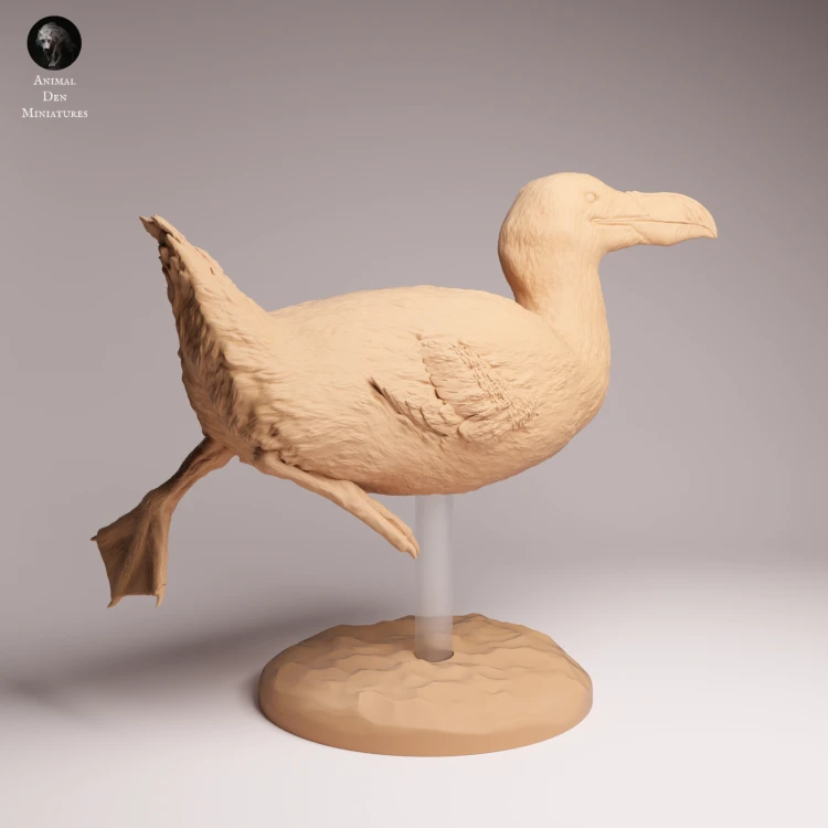 Great Auk Swim - 2.png