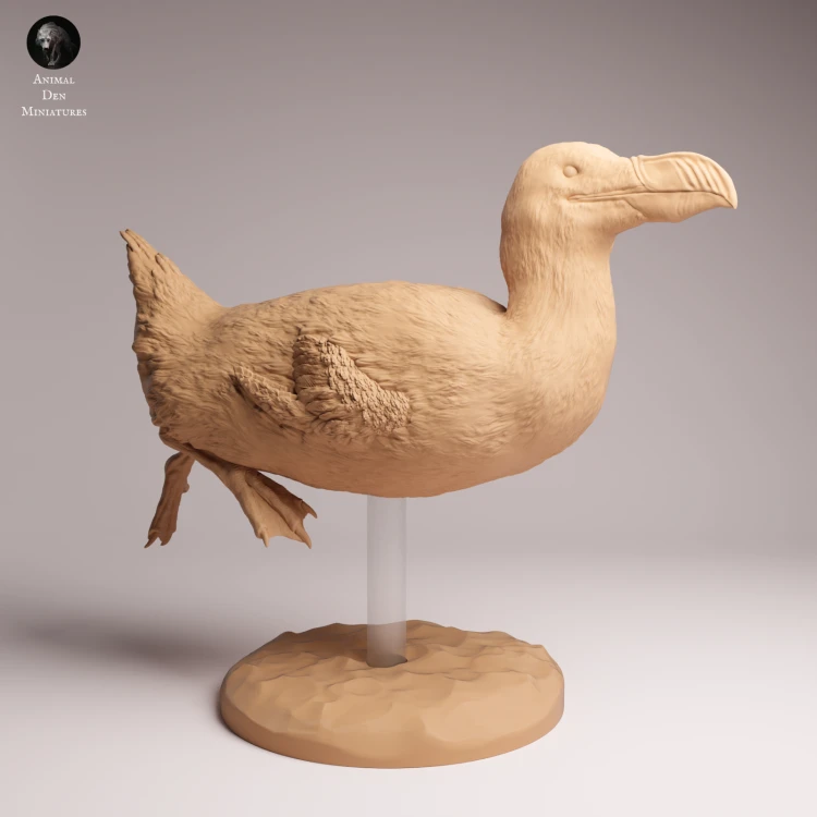 Great Auk Swim - 3.png