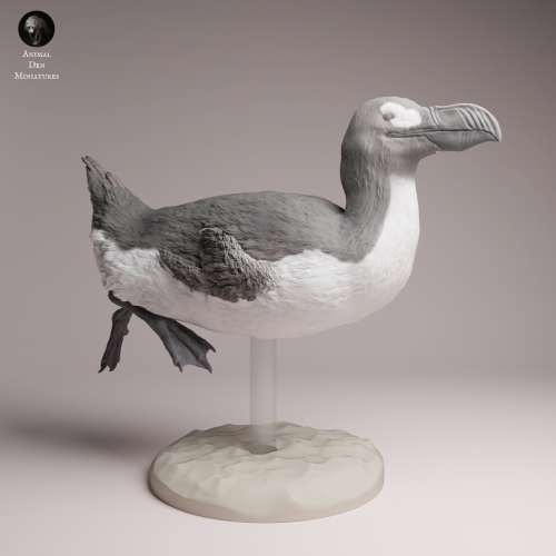 Great Auk Swim - 4.png