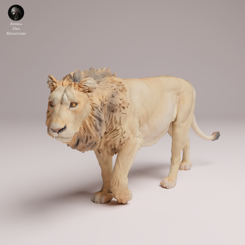 Asiatic Lion - 1.png